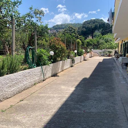 Vila Residenza A&D Santa Domenica  Exteriér fotografie